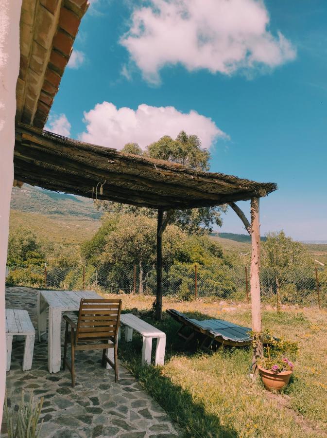 Complejo Rural Del Molino Dorado Villa Facinas Exterior foto
